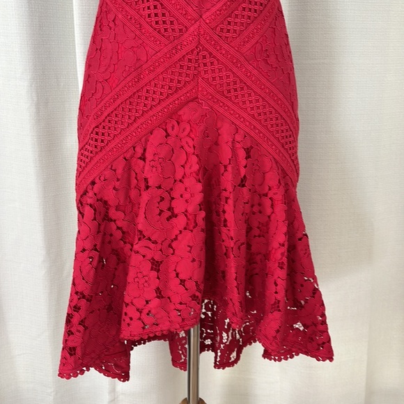 Lover the Label 2 Guipure Crimson Lace Dress - Picture 5 of 7